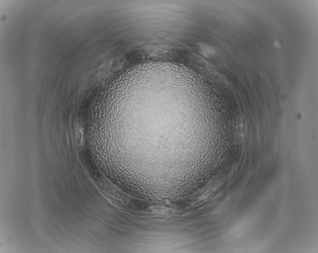 X0000072980703200608041243