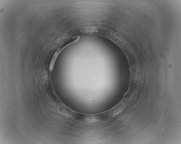 X0000072980704200608041243