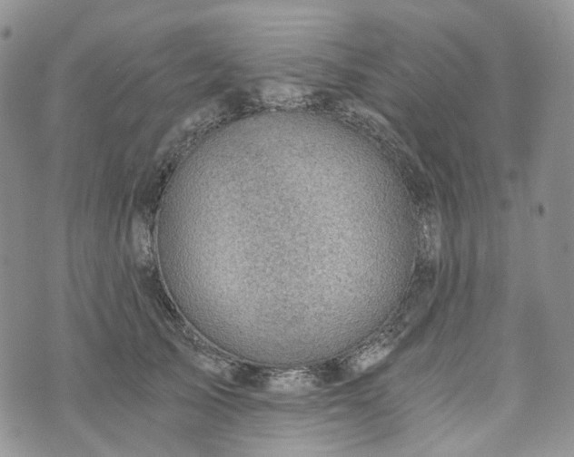 X0000072980705200608041243