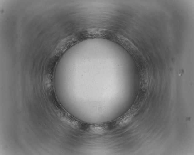 X0000072980706200608041243