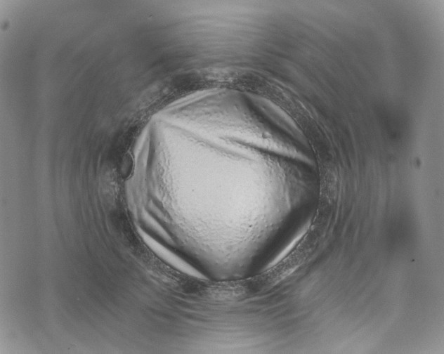 X0000072980707200608041243