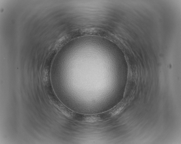 X0000072980708200608041243