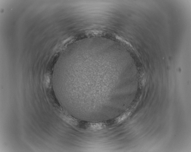 X0000072980709200608041243