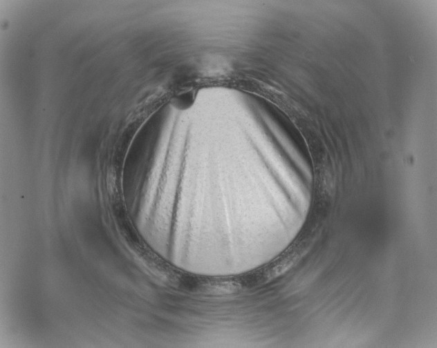 X0000072980711200608041243