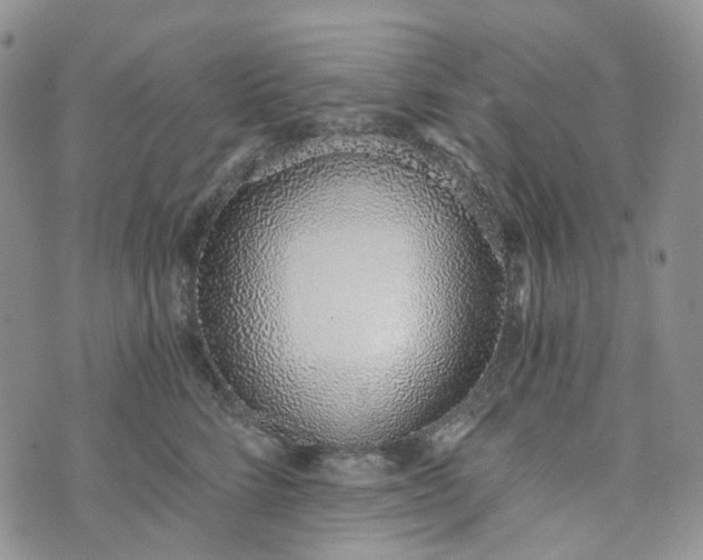 X0000072980712200608041243