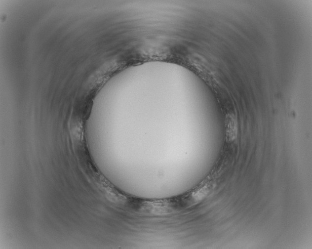 X0000072980713200608041243