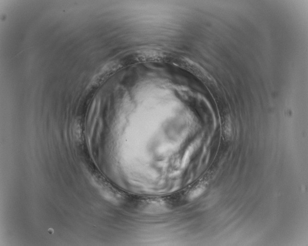 X0000072980715200608041243