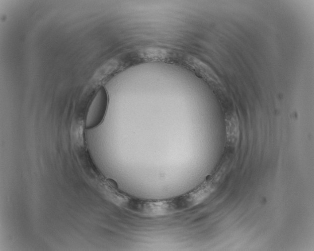 X0000072980717200608041243