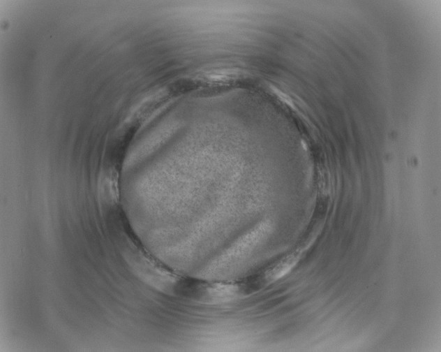 X0000072980718200608041243