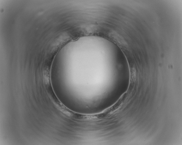 X0000072980719200608041243