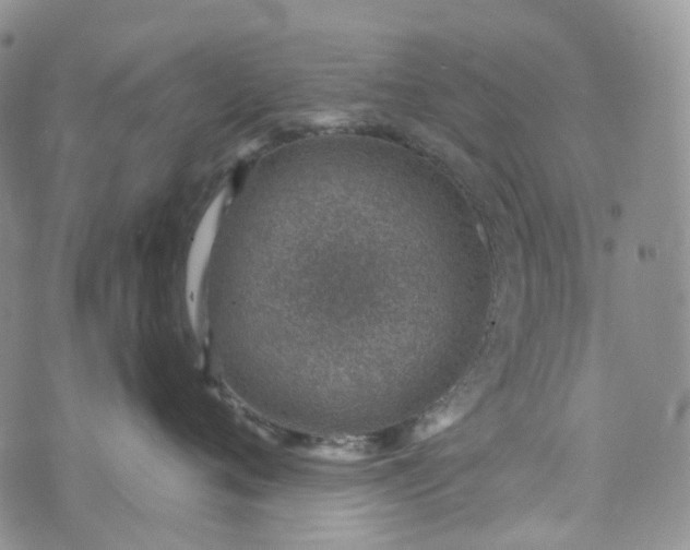 X0000072980720200608041243