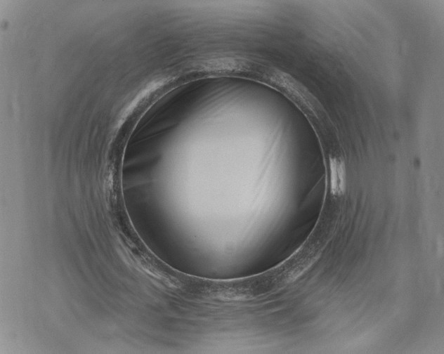 X0000072980723200608041242