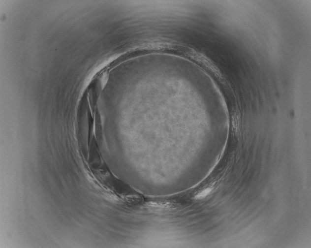 X0000072980724200608041242