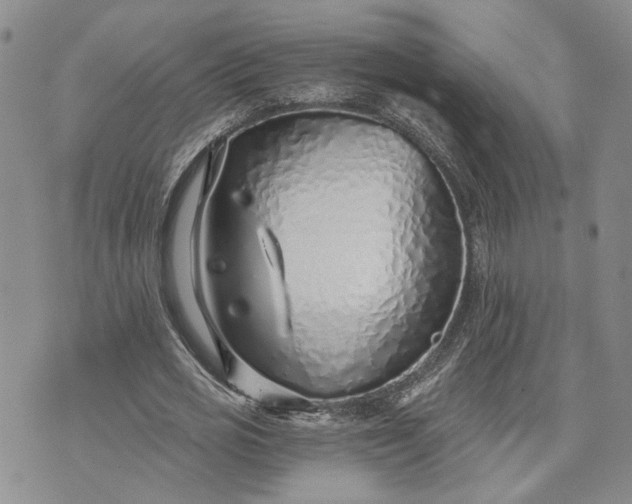 X0000072980725200608041242