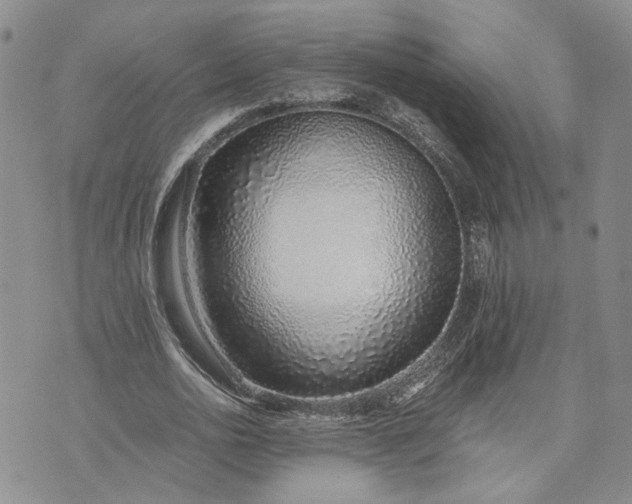 X0000072980726200608041242