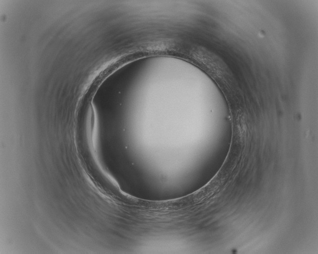 X0000072980728200608041242