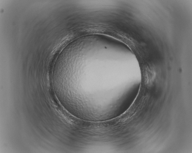 X0000072980729200608041242