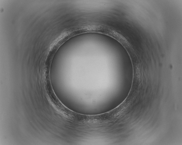 X0000072980730200608041242