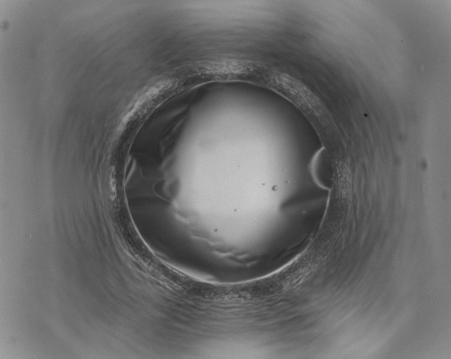 X0000072980731200608041242