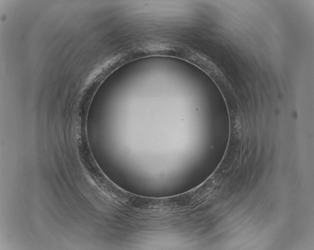 X0000072980732200608041242