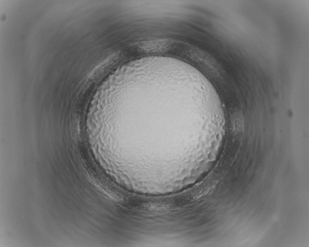 X0000072980733200608041242