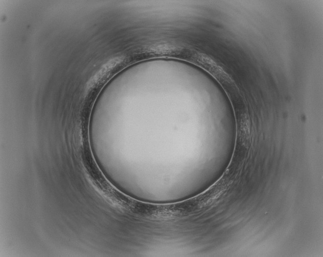 X0000072980734200608041242