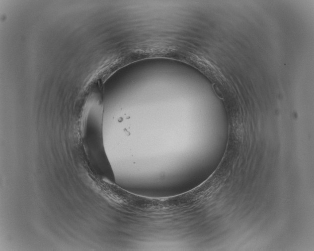 X0000072980735200608041242