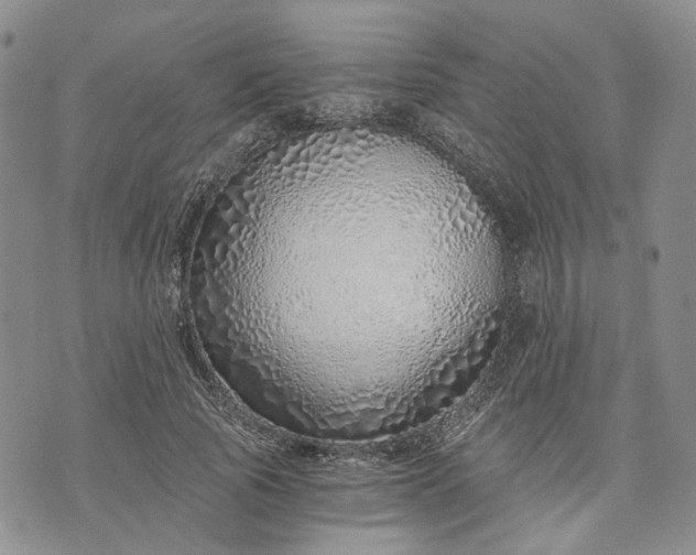 X0000072980737200608041242