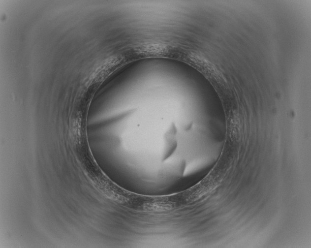 X0000072980739200608041242