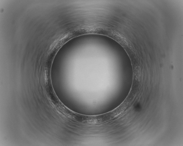 X0000072980740200608041242