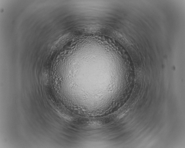 X0000072980741200608041242