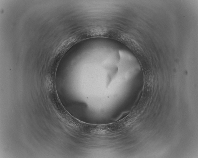 X0000072980743200608041242