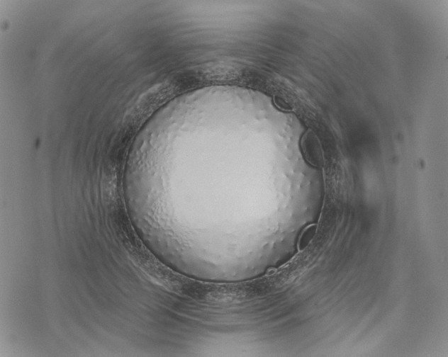 X0000072980745200608041243