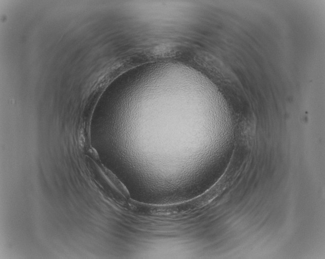 X0000072980746200608041243