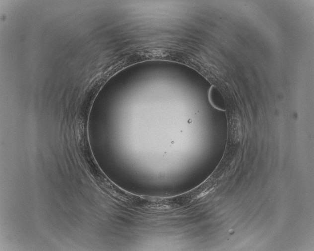 X0000072980747200608041243