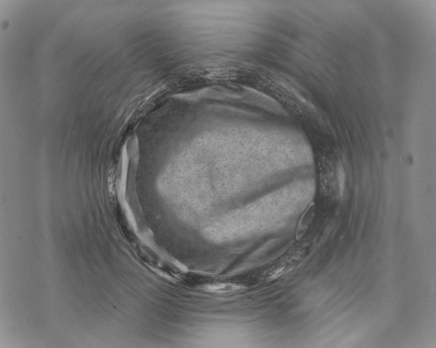 X0000072980748200608041243