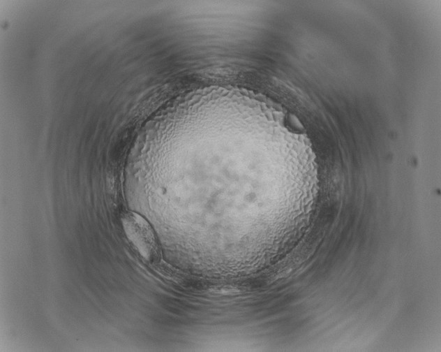 X0000072980749200608041243