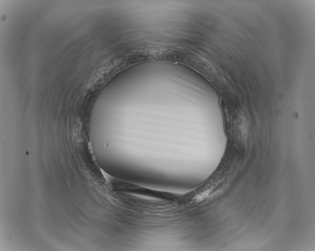 X0000072980750200608041243