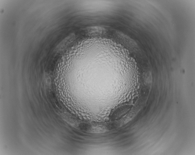 X0000072980753200608041243