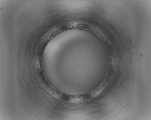 X0000072980754200608041243