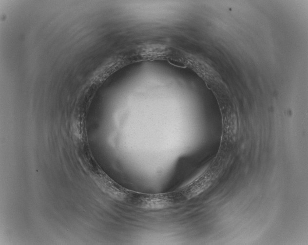 X0000072980755200608041243