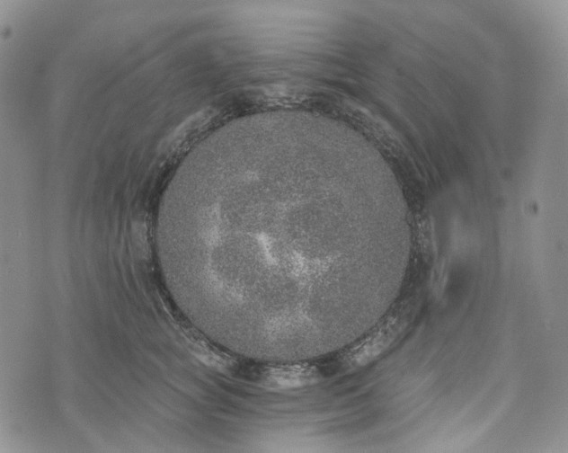 X0000072980757200608041243