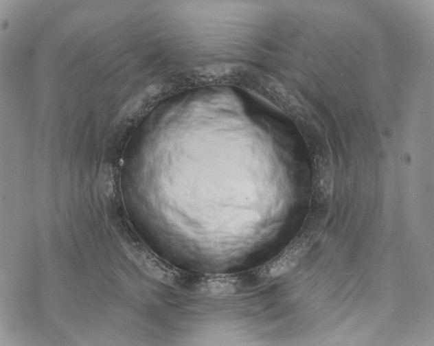 X0000072980758200608041243