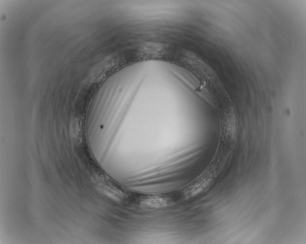 X0000072980759200608041243