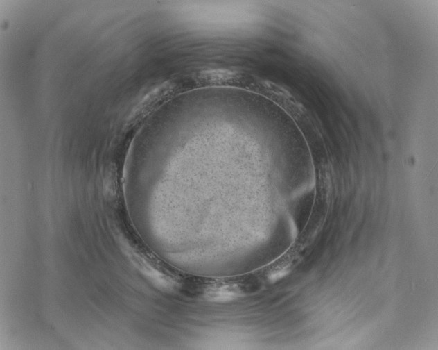 X0000072980760200608041243