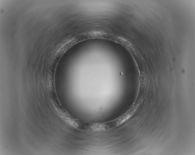 X0000072980762200608041243