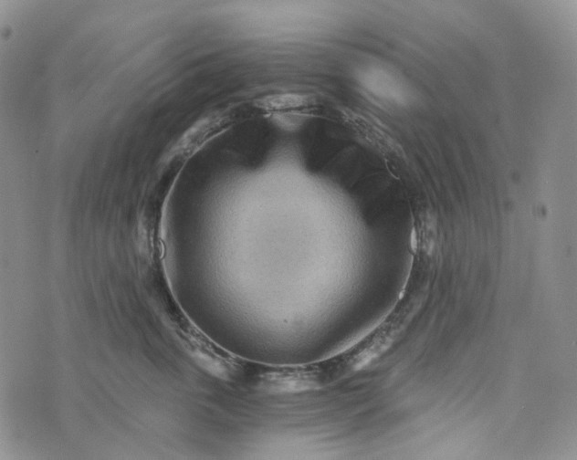 X0000072980763200608041243