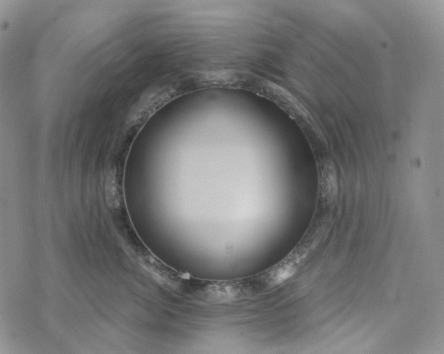 X0000072980764200608041243