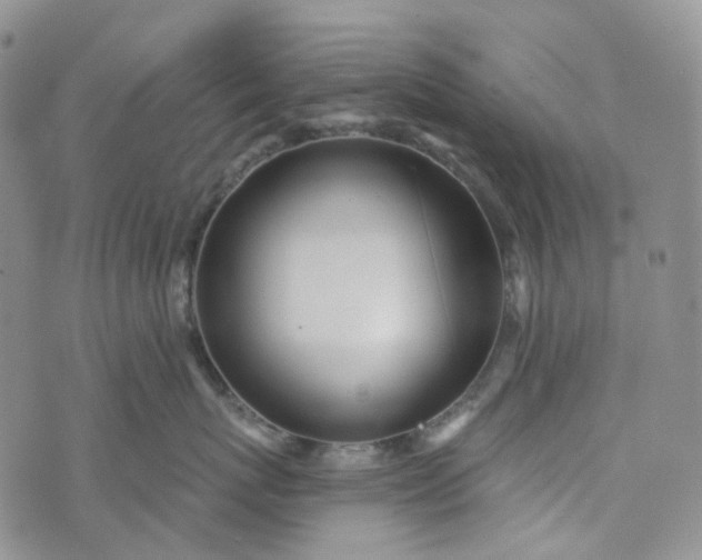 X0000072980767200608041243