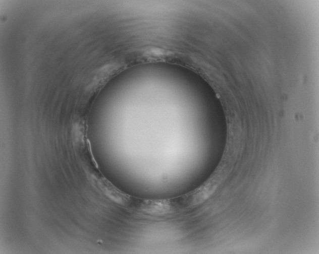 X0000072980768200608041243